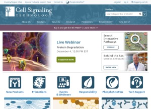 How cellsignal.com looks like on a tablet such as an iPad.