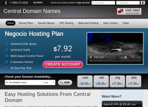 How centraldomainnames.com looks like on a tablet such as an iPad.