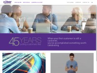 Desktop screenshot for ciber.com