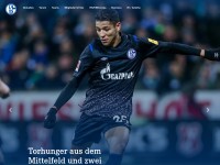 Desktop screenshot for schalke04.de