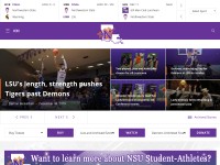 Desktop screenshot for nsudemons.com