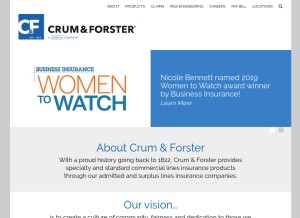How cfins.com looks like on a tablet such as an iPad.