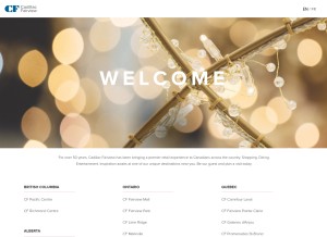 How cfshops.com looks like on a tablet such as an iPad.