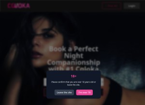 How cgloka.com looks like on a tablet such as an iPad.