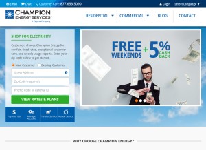 How champion.energy looks like on a tablet such as an iPad.