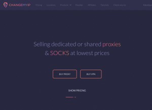 How changemyip.com looks like on a tablet such as an iPad.