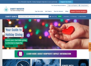 How charitynavigator.org looks like on a tablet such as an iPad.