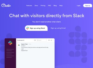 How chatlio.com looks like on a tablet such as an iPad.
