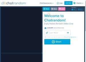 How chatrandom.com looks like on a tablet such as an iPad.