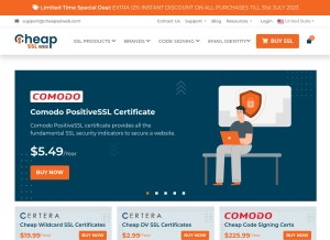 How cheapsslweb.com looks like on a tablet such as an iPad.