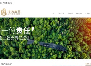 How chenxuyang.com looks like on a tablet such as an iPad.