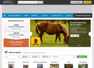 How chevalannonce.com looks like on a tablet such as an iPad.