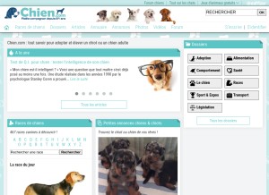 How chien.com looks like on a tablet such as an iPad.