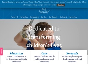 How childmind.org looks like on a tablet such as an iPad.