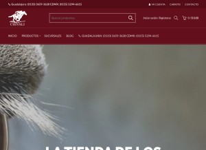 How chivali.com looks like on a tablet such as an iPad.