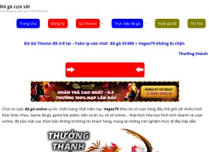 How choidaga.net looks like on a tablet such as an iPad.