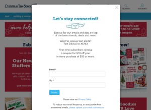 How christmastreeshops.com looks like on a tablet such as an iPad.