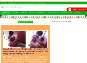 How chuamatsua.com looks like on a tablet such as an iPad.