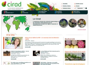 How cirad.fr looks like on a tablet such as an iPad.