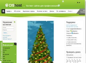 How cishost.ru looks like on a tablet such as an iPad.