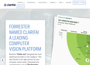 How clarifai.com looks like on a tablet such as an iPad.