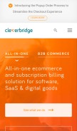 How cleverbridge.com looks like on a mobile device such as an iPhone.