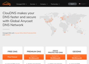 How cloudns.net looks like on a tablet such as an iPad.