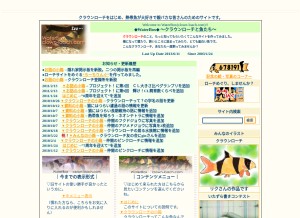 How clown-loach.com looks like on a tablet such as an iPad.