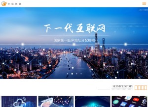 How cnispgroup.com looks like on a tablet such as an iPad.