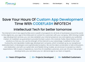 How codeflashinfotech.com looks like on a tablet such as an iPad.