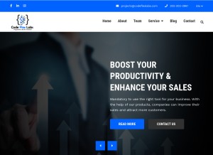 How codeflexlabs.com looks like on a tablet such as an iPad.