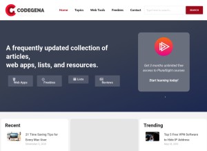 How codegena.com looks like on a tablet such as an iPad.