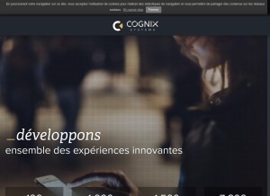 How cognix-systems.net looks like on a tablet such as an iPad.