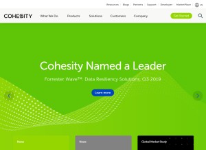 How cohesity.com looks like on a tablet such as an iPad.
