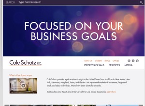 How coleschotz.com looks like on a tablet such as an iPad.