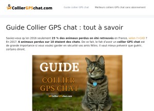 How colliergpschat.com looks like on a tablet such as an iPad.