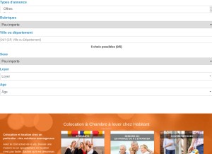 How colocation-adulte.fr looks like on a tablet such as an iPad.