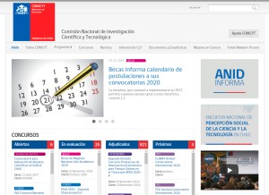How conicyt.cl looks like on a tablet such as an iPad.