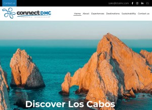 How connecttravelservices.com looks like on a tablet such as an iPad.