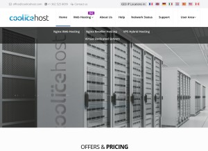 How coolicehost.com looks like on a tablet such as an iPad.