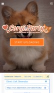 How corgi.party looks like on a mobile device such as an iPhone.