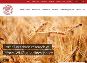 How cornell.edu looks like on a tablet such as an iPad.