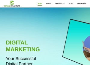 How cotginanalytics.in looks like on a tablet such as an iPad.