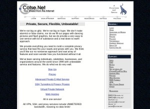 How cotse.net looks like on a tablet such as an iPad.