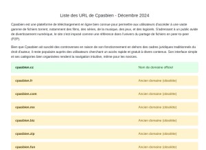 How cpasbien-adresse.site looks like on a tablet such as an iPad.