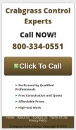 How crabgrasscontrolguys.com looks like on a mobile device such as an iPhone.