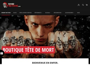 How crane-faction.com looks like on a tablet such as an iPad.