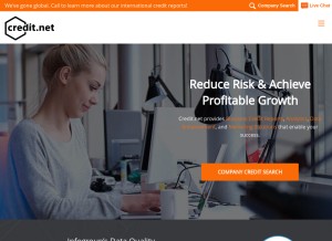 How credit.net looks like on a tablet such as an iPad.