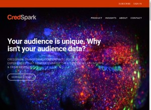 How credspark.com looks like on a tablet such as an iPad.