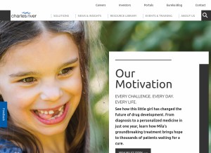 How criver.com looks like on a tablet such as an iPad.